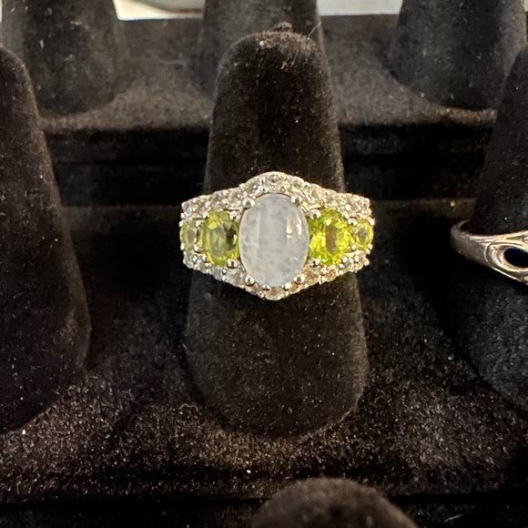 Southern Silver - Picture 8 of 16